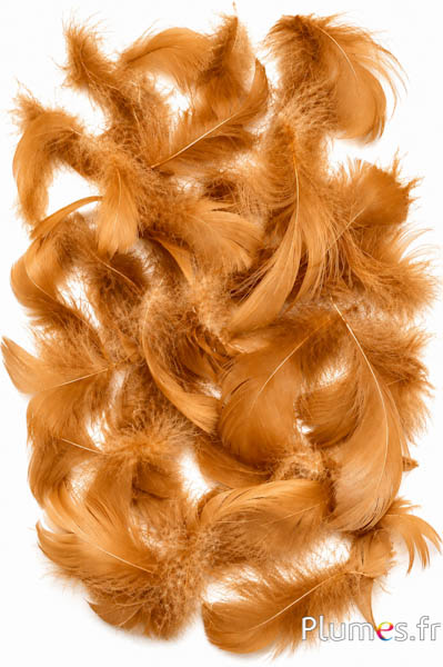 Gans - 4-6 cm - cognac